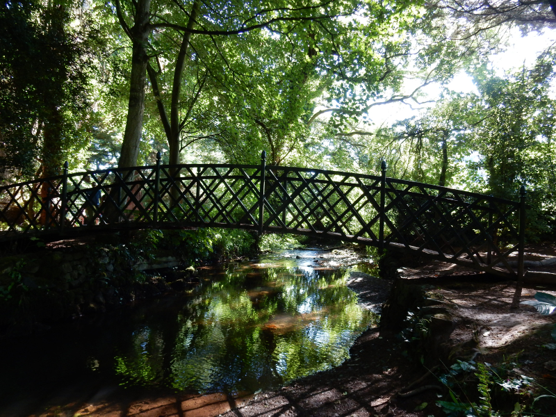 Dream Part 1 bridge over stream dunster gardens DSCN8264 Dream Part 1 bridge over stream dunster gardens DSCN8264