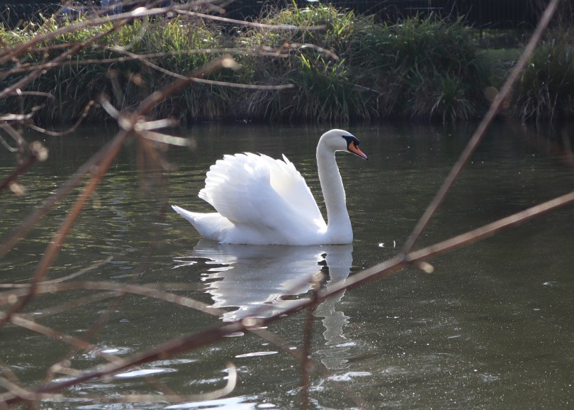 Sunshine 6 Sunshine 6