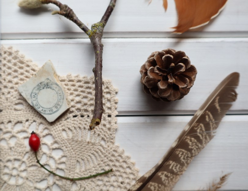 Winter joy The Wild Remedy 2