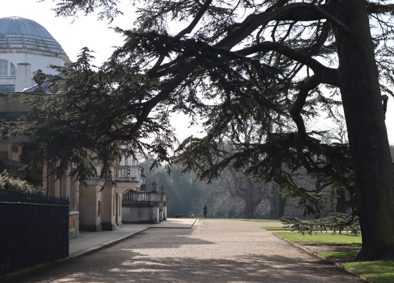 Sunshine 4 Sunshine 4