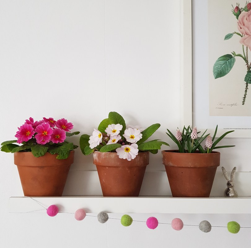 Finding My Way shelf