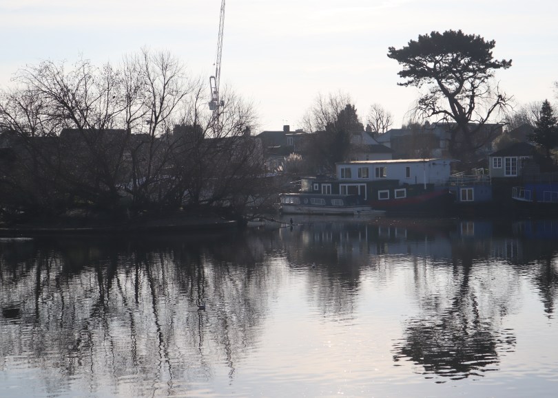 Winter joy Richmond reflections