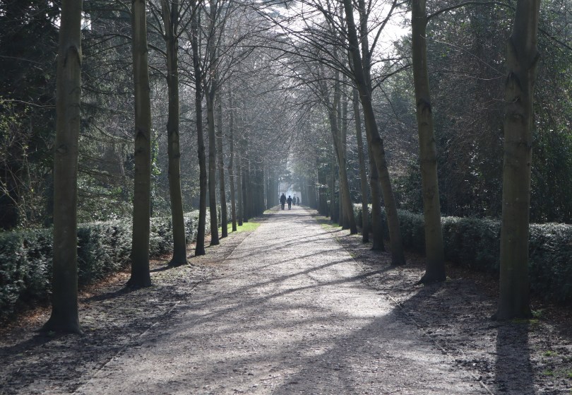 Sunshine 1 Sunshine 1