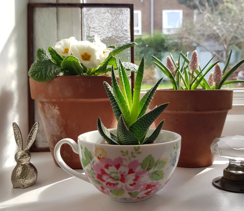 Finding My Way windowsill