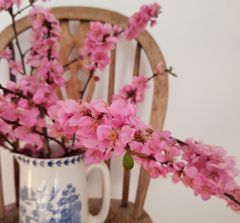 Finding My Way Blossom