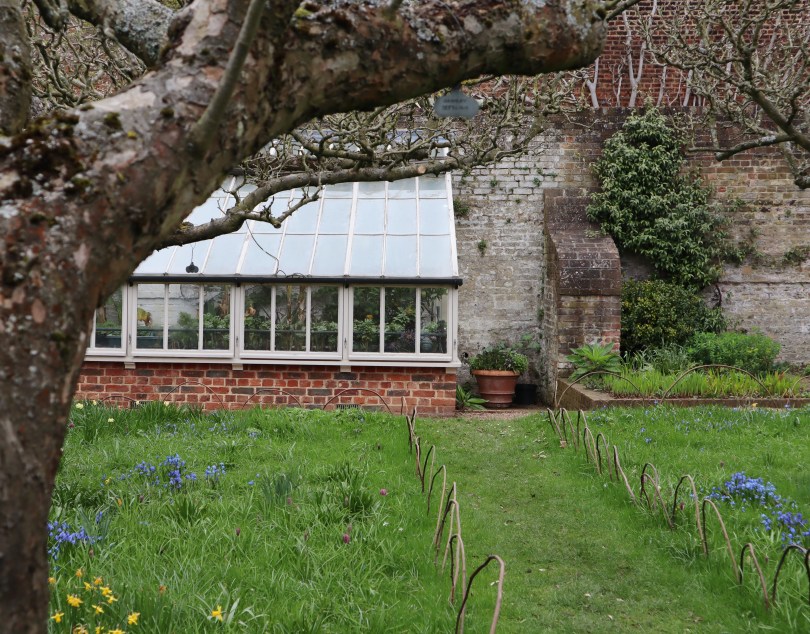 Fenton House 1 greenhouse