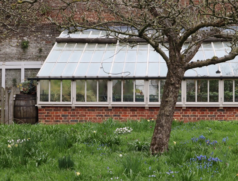 Fenton House 5 greenhouse