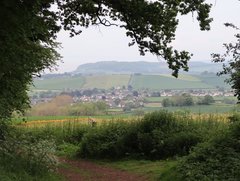 Why I Blog view 2657